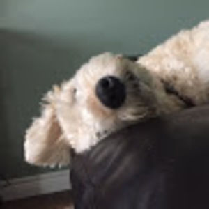 Meet your Posher, Jen